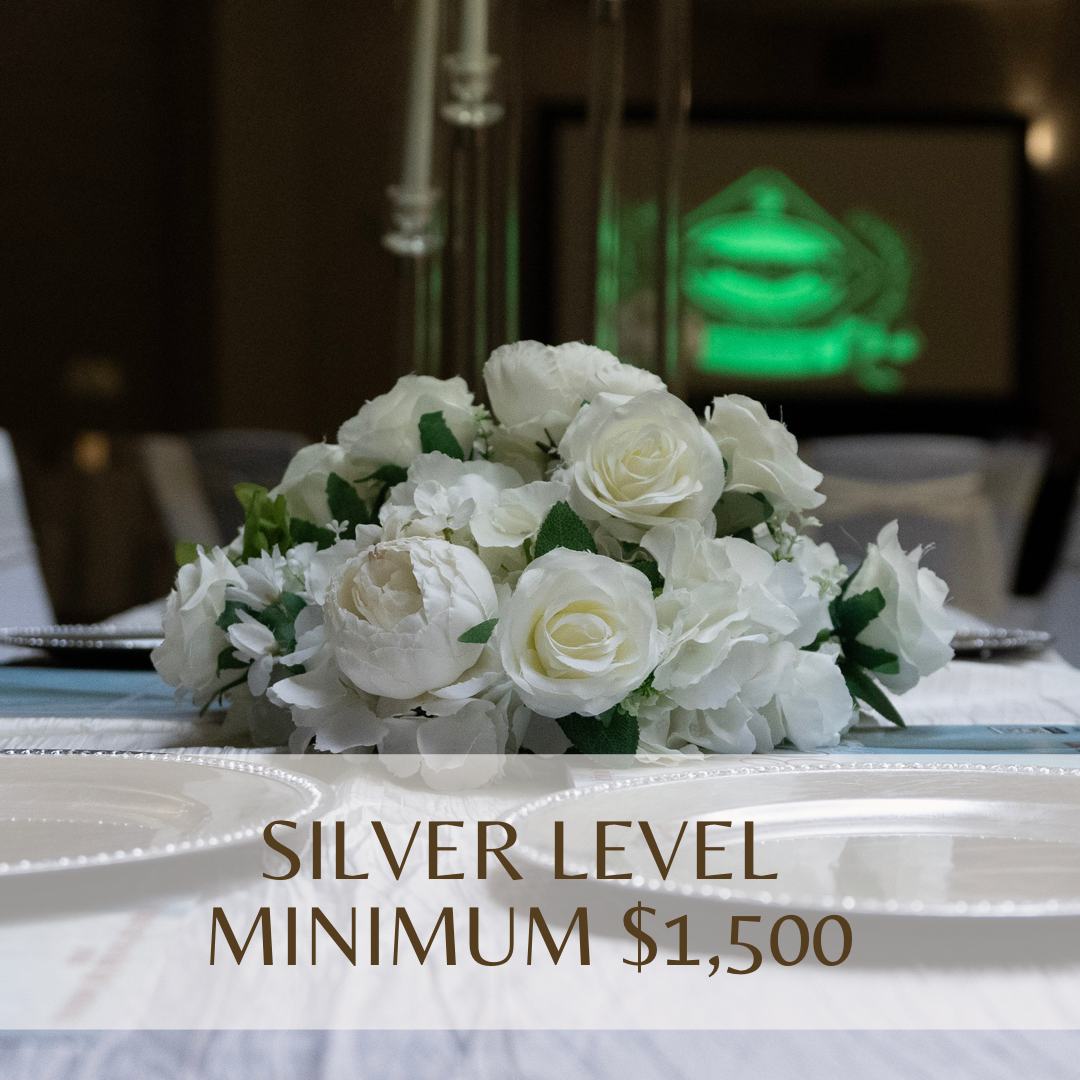 SILVER LEVEL - MINIMUN $1,500