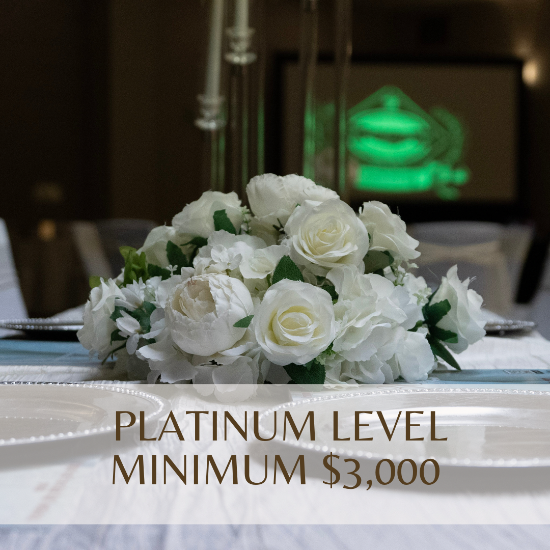 PLATINUM LEVEL - 3,000