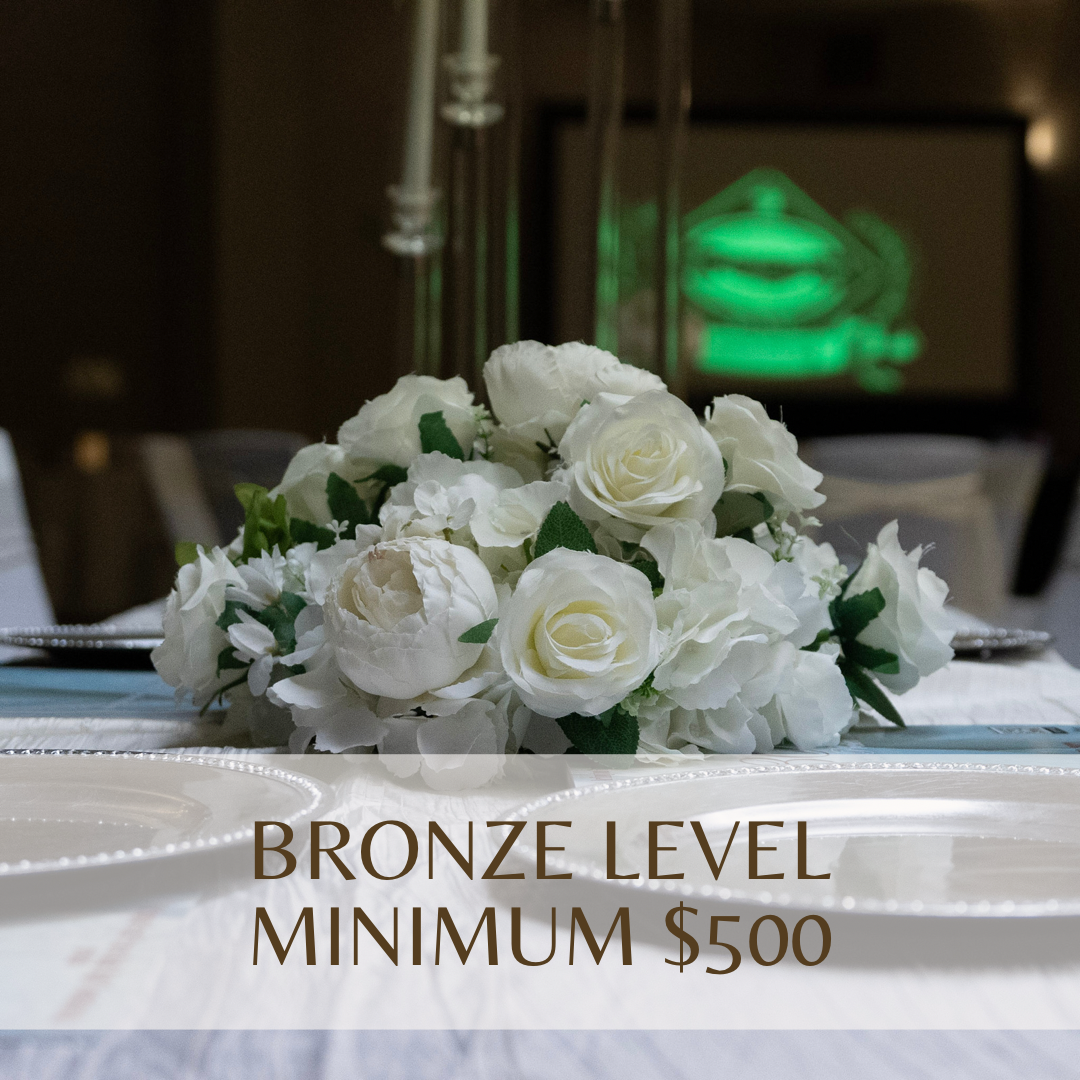 BRONZE LEVEL - MINIMUN $500